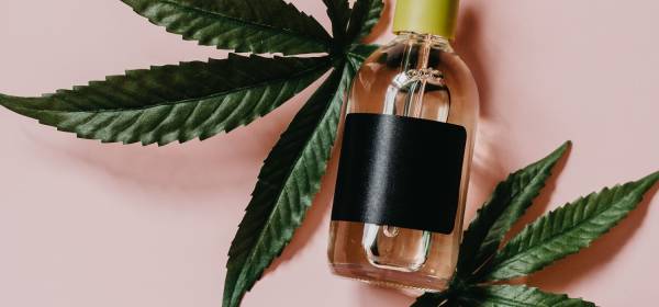 CBD Category For Article Submission Sites